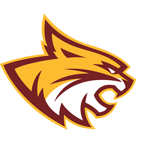 Wildcat logo